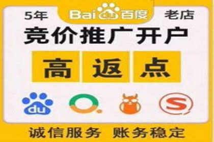 某公司如何利用SEO和SEM提升线上业务——真实案例分析
